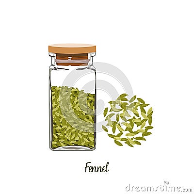 Fennel seeds in square glass bottle with lid and some of fennel seeds outside the bottle. Seasoning drawing on withe background. Stock Photo