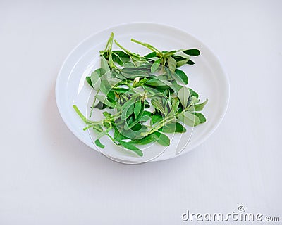 Fenugreek leaves greens healthiest green leafy vegetable herb organic food a flavouring agent for cuisines in a plate photo Stock Photo