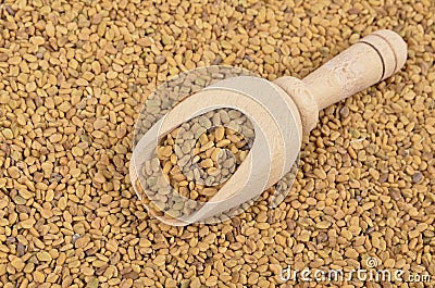 Fenugreek seed Stock Photo