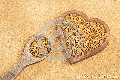 Fenugreek seeds and powder - Trigonella foenum - graecum Stock Photo
