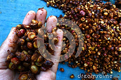 F Fermentation dry coffee beans honey wet process organic specialty robusta in thailand Stock Photo