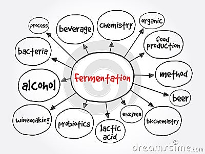 Fermentation mind map, concept for presentations and reports Stock Photo
