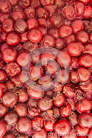 Fermented cherries for the preparation of fruit distillate spirit drink. Close-up texture photo. Stock Photo