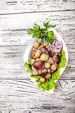 Fermented food on a white plate. Marinated mushrooms champignons with onion rings and parsley closeup and copy space Stock Photo