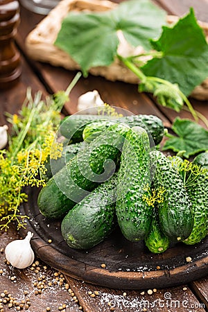 Fermenting cucumbers, cooking recipe salted or marinated pickles with garlic and dill Stock Photo