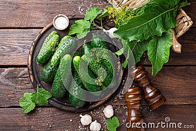 Fermenting cucumbers, cooking recipe salted or marinated pickles with garlic and dill with ingredients on kitchen Stock Photo