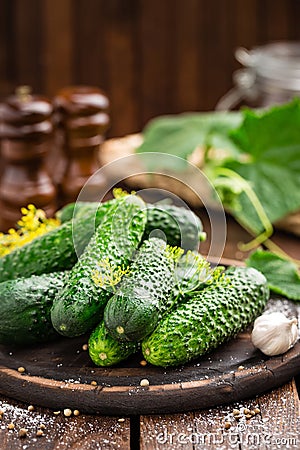 Fermenting cucumbers, cooking recipe salted or marinated pickles with garlic and dill with ingredients on kitchen Stock Photo