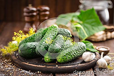 Fermenting cucumbers, cooking recipe salted or marinated pickles with garlic and dill Stock Photo