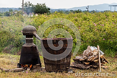 Fermenting rose water Stock Photo