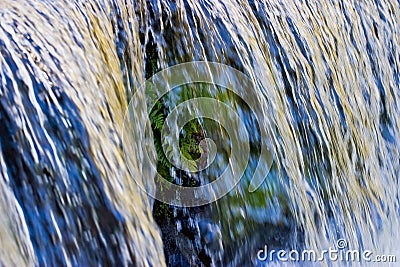 Fern behind the waterfall Stock Photo