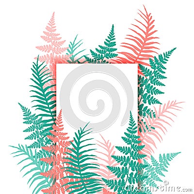 Fern frond tropical leaves frame vector illustration. Bush plant leaves decoration on white background Vector Illustration