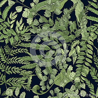 Fern green foliage on black background. Hand drawn seamless pattern with realistic plants. Colorful vector illustration. Vector Illustration