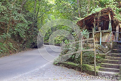 Fern gully in Jamaica Stock Photo