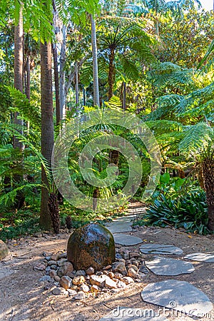 Fern gully trail at Royal botanic garden in Melbourne, Australia Stock Photo