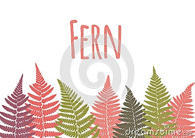 Fern leaf background. Tropical botanical card. Vector Illustration