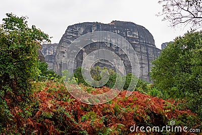Fern with panoramic view of the unique rock formations near village Kastraki on a mystical cloudy day in Kalambaka, Meteora Stock Photo