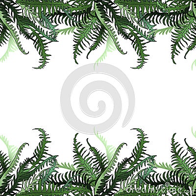 Fern sweeping leaves tropical frame template. Cartoon Illustration