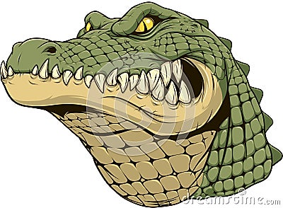 Ferocious alligator head Vector Illustration