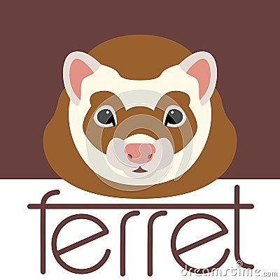 Ferret face front side vector illustration style Vector Illustration