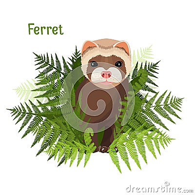 Ferret in green leaves of fern, polecat cute friendly animal Vector Illustration