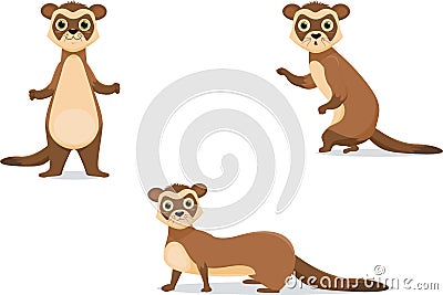 Ferret illustrations in different poses. Vector Illustration