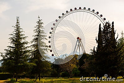 Ferris wheel among green trees Editorial Stock Photo