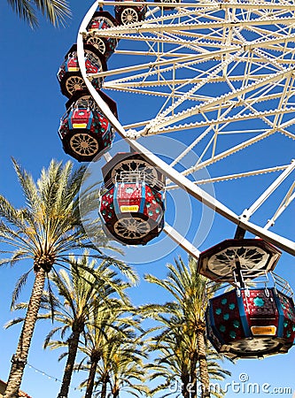 Ferris Wheel With Palm Trees Stock Photo