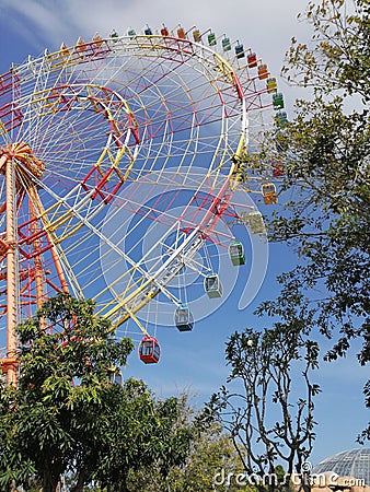 Ferris wheel in the park, attraction Stock Photo