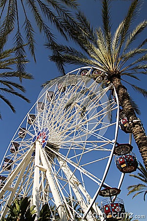 Ferris Wheel Surrounded by Palm Trees Stock Photo