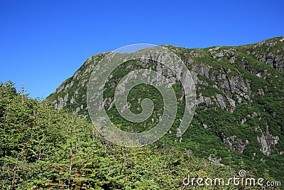 Ferry Gulch Landscape Stock Photo