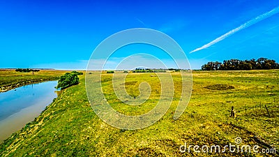 Fertile farmland surrounding the Klipriver near the town of Standarton in Mpumalanga Stock Photo