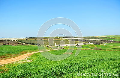 Fertile fields of crops planted with cereals in spring and livestock farming with grain silos, Extremadura, Spain Stock Photo