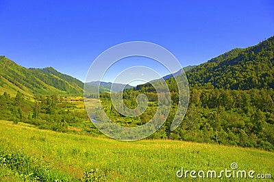 Fertile green valley at the foot of the mountain ranges. Altai, Siberia, Russia. Landscape Stock Photo