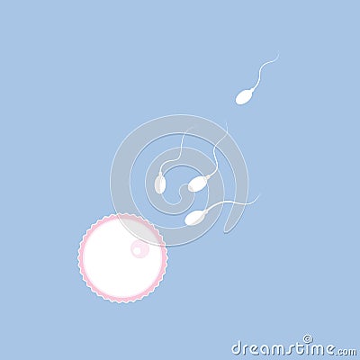 Fertility reproduction of ovum and spermatozoon Vector Illustration