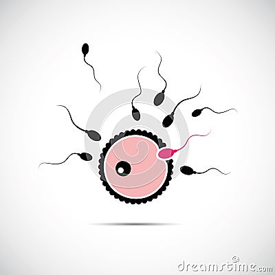 Fertility reproduction of ovum and spermatozoon pink Vector Illustration