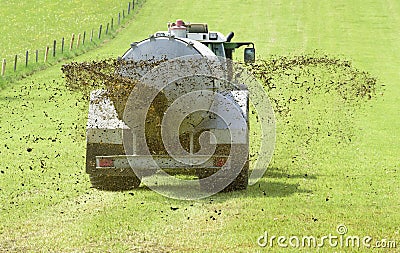 Fertilization with liquid manure on meadow Stock Photo