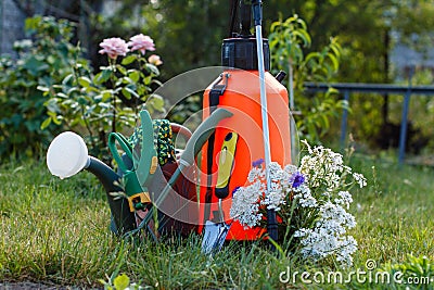 Fertilizer pesticide garden sprayer, watering can and some garden tools on green grass Stock Photo