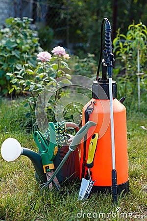 Fertilizer pesticide garden sprayer, watering can and some garden tools on green grass Stock Photo