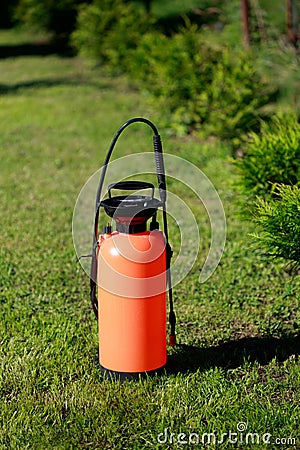 Fertilizer sprayer and a row of thujas on green lawn. Spraying thuja trees against plant diseases and pests concept Stock Photo