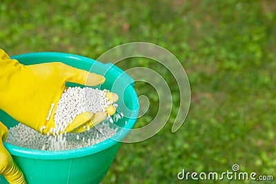 Fertilizing plants, lawns, trees and flowers. Gardener in gloves holds white fertilizer balls on grass Stock Photo