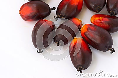 Fesh palm oil seed Stock Photo