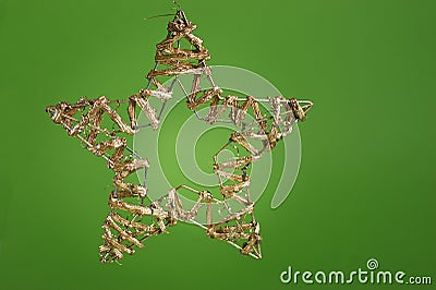 Festiv star Stock Photo