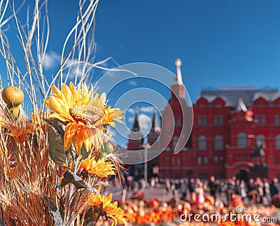 Festival `golden autumn` on Manezhnaya Square. Sunflowers and pumpkins in front of the Historical Museum on Red Square. Editorial Stock Photo