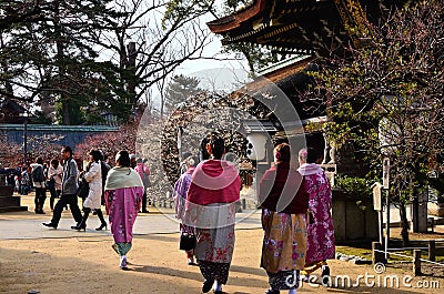 Festival of Japanese apricot flower in Kyoto, Japan Editorial Stock Photo