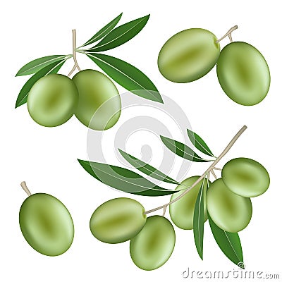 Festival olives oil icon set, realistic style Stock Photo