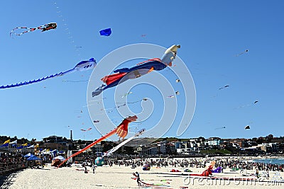Festival of the Winds, Bondi Beach Sydney Editorial Stock Photo