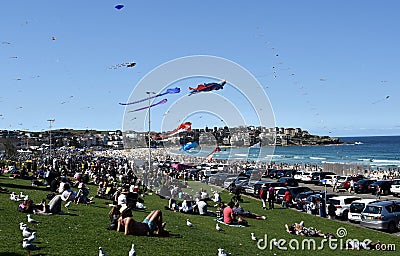 Festival of the Winds, Bondi Beach Sydney Editorial Stock Photo