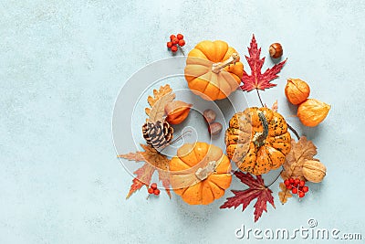 Festive autumn pumpkins decor with fall leaves, berries, nuts on blue background. Thanksgiving day or halloween holiday, harvest Stock Photo