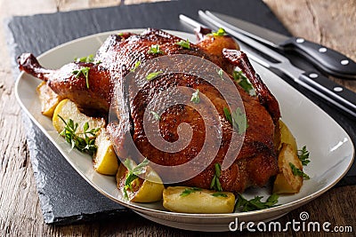 Festive baked duck with apples close-up on a table. horizontal Stock Photo