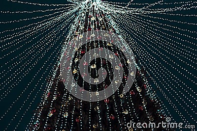 Festive blue xmas lights on big christmas tree in urban central park at holiday evening in winter night Stock Photo